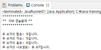 java-runner01